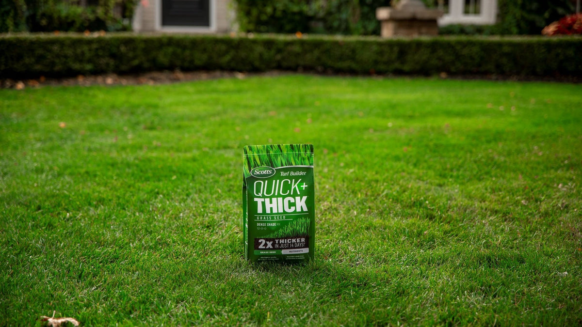 Scotts Turf Builder Quick + Thick Grass Seed Dense Shade Mix, 12-0-0, 1.2-kg