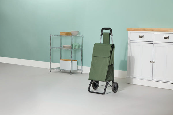 Type A 2-Wheel Shopping Cart, Holds Up to 33-lb R2