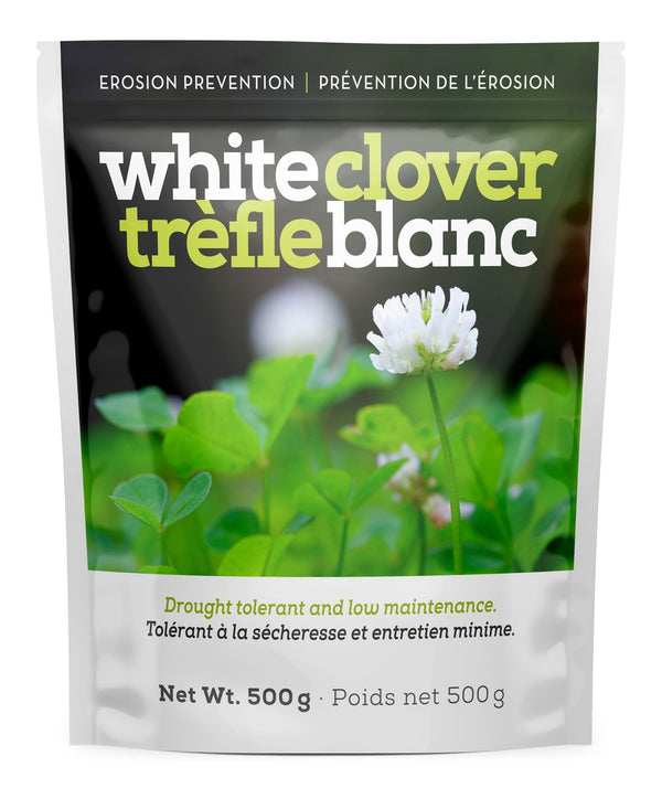 White Clover Erosion Control Grass Seed 500g Z0